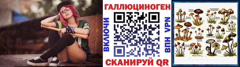 закладка  Рошаль  Галлюциногенные грибы Magic Shrooms 